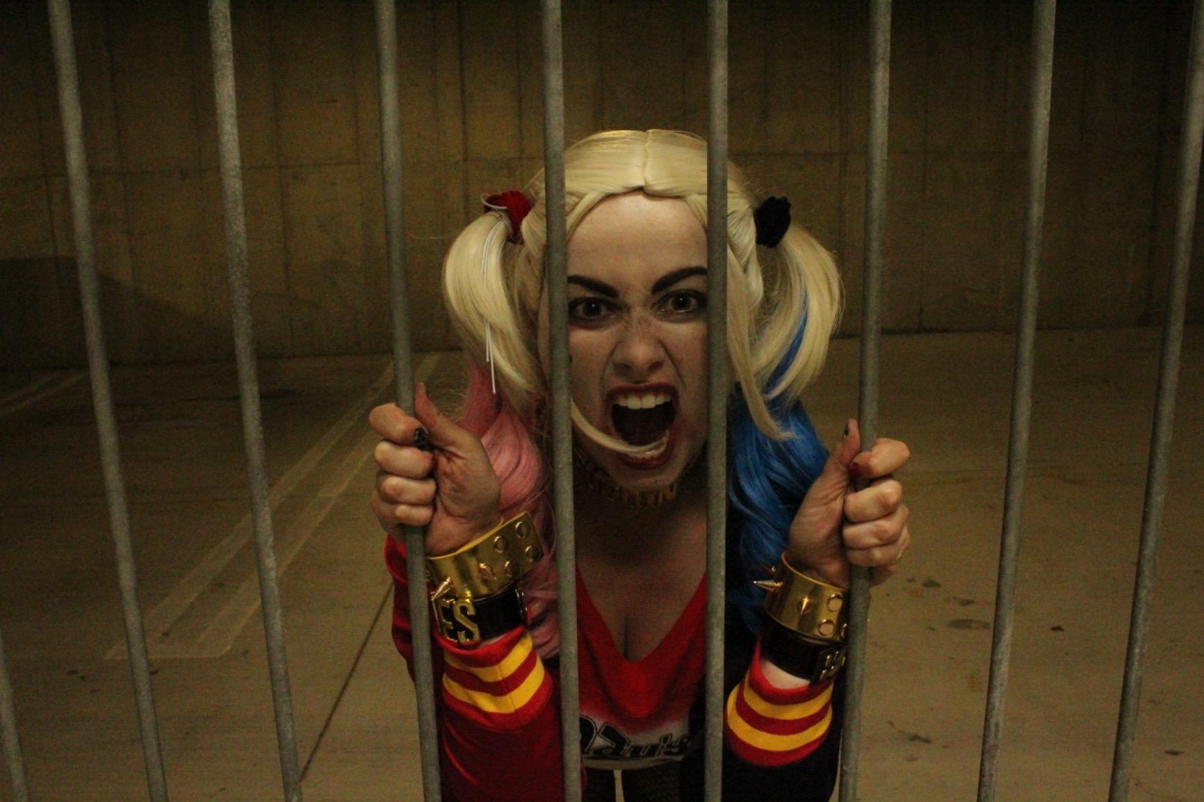 Pink and Blue Wig for Women Cu - Women'S Harley Quinn Accessories review and price