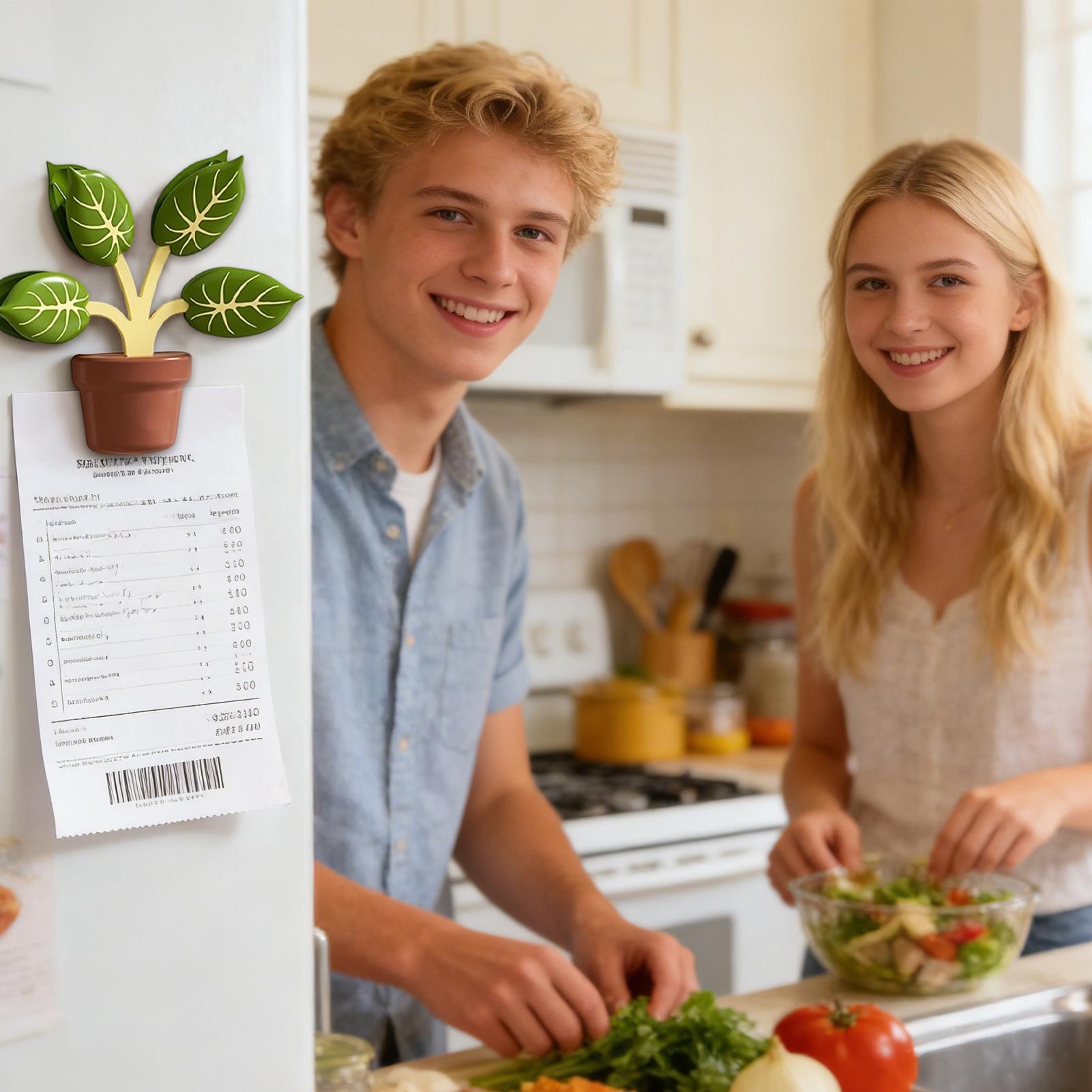 3D Potted Plant Refrige Magnet - Women Kitchen Accessories review and price